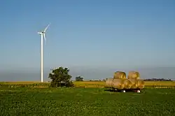 Shirley Wind Farm 003