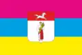 Flag of Shpola