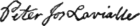 Peter Joseph Lavialle's signature
