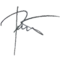 Signature of Dang Thai Son
