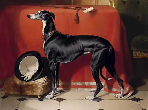 A Favourite Greyhound of Prince Albert, 1841