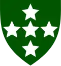 Southern Command Intelligence Corps (Green with white stars)