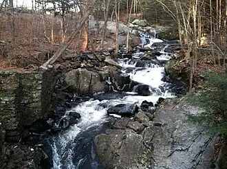 Brook