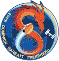 Mission insignia for SpaceX Crew-8