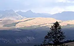 Specimen Ridge from Mount Washburn, 1977