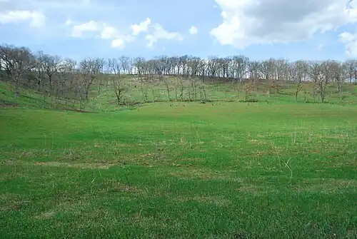 Spring Growth after Burn