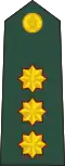 Sri Lanka Army