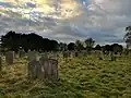 Churchyard of St Mary's Church, Norton Lane, Cuckney