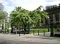'Horizontalis', St Philip's Cathedral churchyard, Birmingham