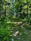 The old stage road leading down to the Royal River