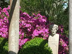 Statue