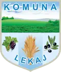Official logo of Lekaj