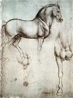 Leonardo's horse in silverpoint, c. 1488[60]