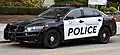 FPIS with the Summa Health Protective Services/Police Department