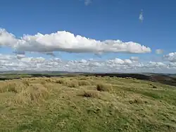 Summit area of Garret Lwyd