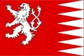 Flag of Svojanov