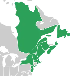 Symphyotrichum tradescantii distribution map: Canada — New Brunswick, Newfoundland, Nova Scotia, and Québec; US — Maine, Massachusetts, New Hampshire, New Jersey, New York, Rhode Island, and Vermont.