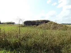 Bunker