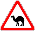 1.24.2 Camels