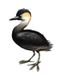 An artist's reconstruction.