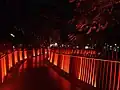 The park's Infinity Link bridge at night, illuminated in red