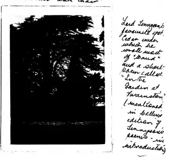 Gardens at Swainston 1909