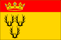Flag of Teplá