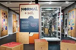 Normal+Me