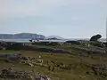 The 'frog rock'