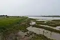The Cliff, Burnham-on-Crouch