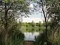 There are multiple fishing lakes in the park