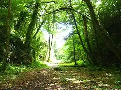 The Glen