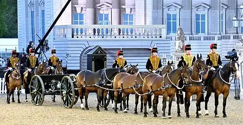 Bays of the King's Troop Royal Horse Artillery