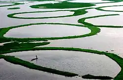 Fishing at Loktak Lake