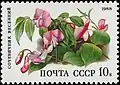 Lathyrus vernus on stamp of USSR