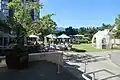 Outdoor garden