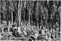 Cemetery of Scutari, 1876