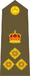 Brigadier (Tongan Land Component)[26]