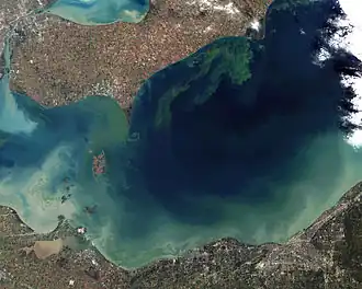 An image depicting algae bloom in Lake Erie