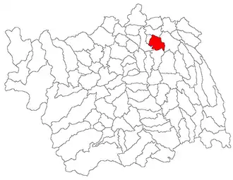Location in Bacău County