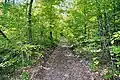 Hill Road at the Cumberland Plateau