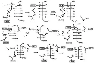 Reaction scheme for the conversion of sedoheptulose-7-phosphate to fructose-6-phosphate.