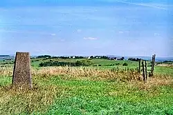 Mellor Moor