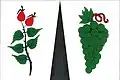 Flag of Trnovany