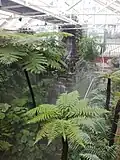 Tropical Ravine House in 2018, after refurbishment