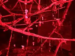 The bat enclosure within the nocturnal house