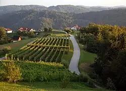 Trščina, lower part (August 2016)