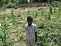 Child standing in household garden.