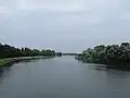 The Rhine near Marckolsheim