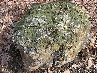 One of numerous prehistoric mining sites at the Flint Ridge State Memorial